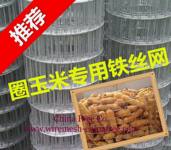 圈玉米电焊网